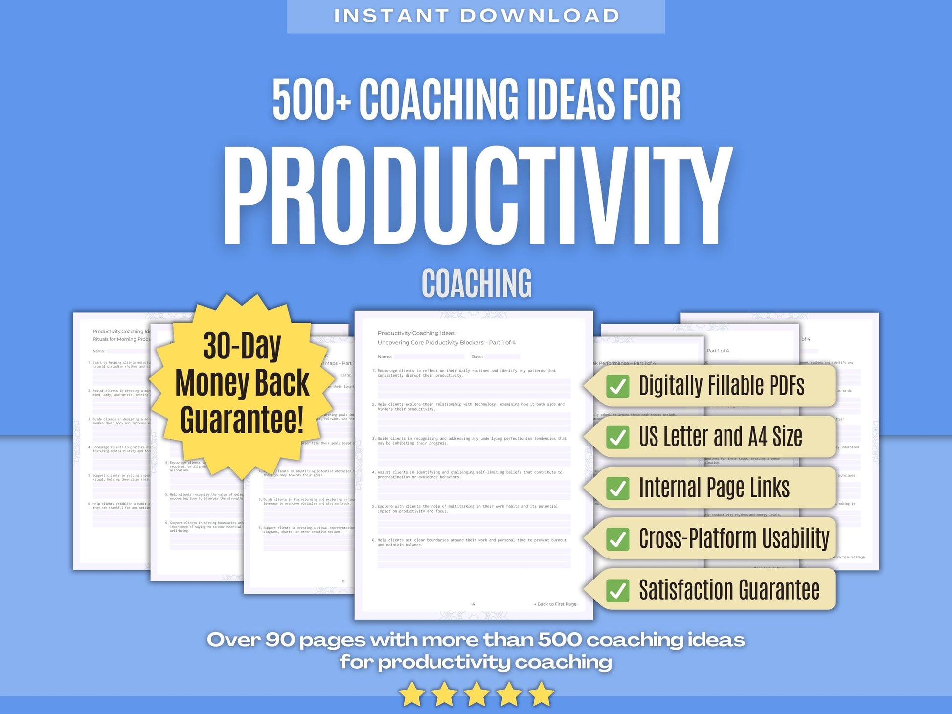 Productivity Coaching Workbooks