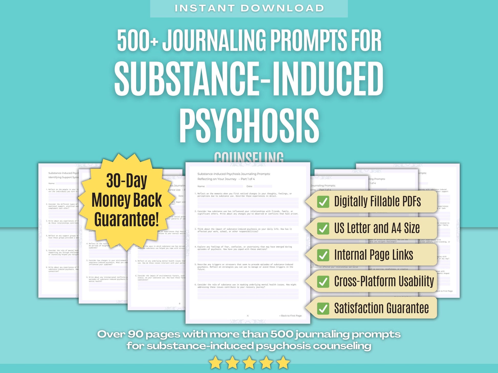 Substance-Induced Psychosis Counseling Psychology Workbooks