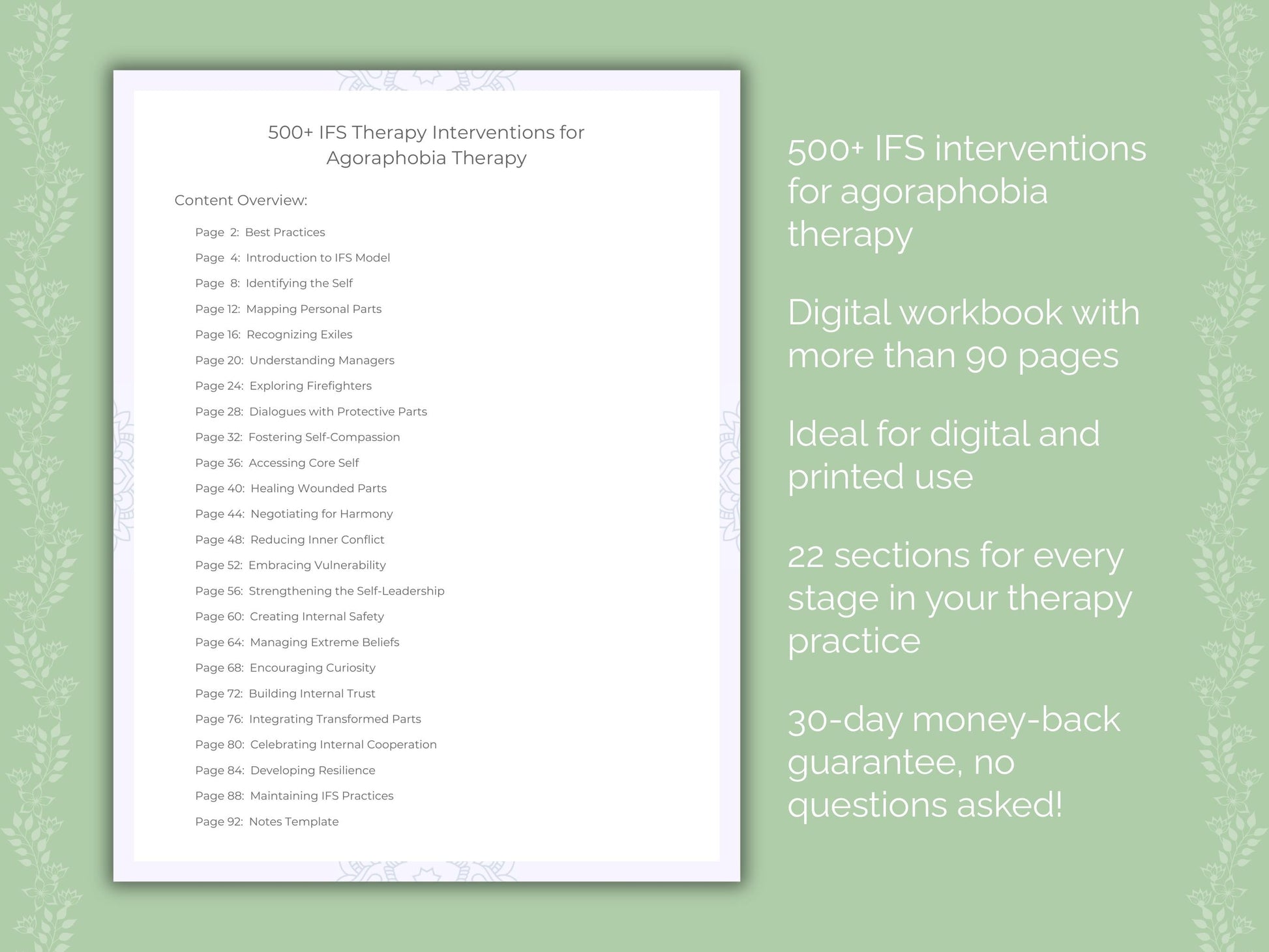 Agoraphobia Internal Family Systems (IFS) Therapist Worksheets