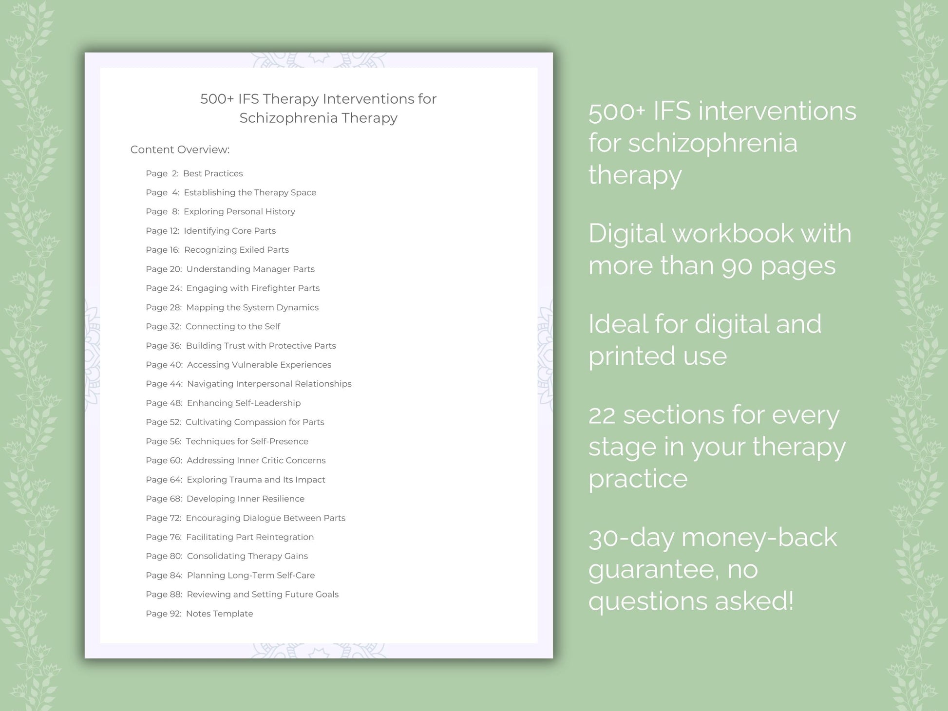 Schizophrenia Internal Family Systems (IFS) Therapist Worksheets