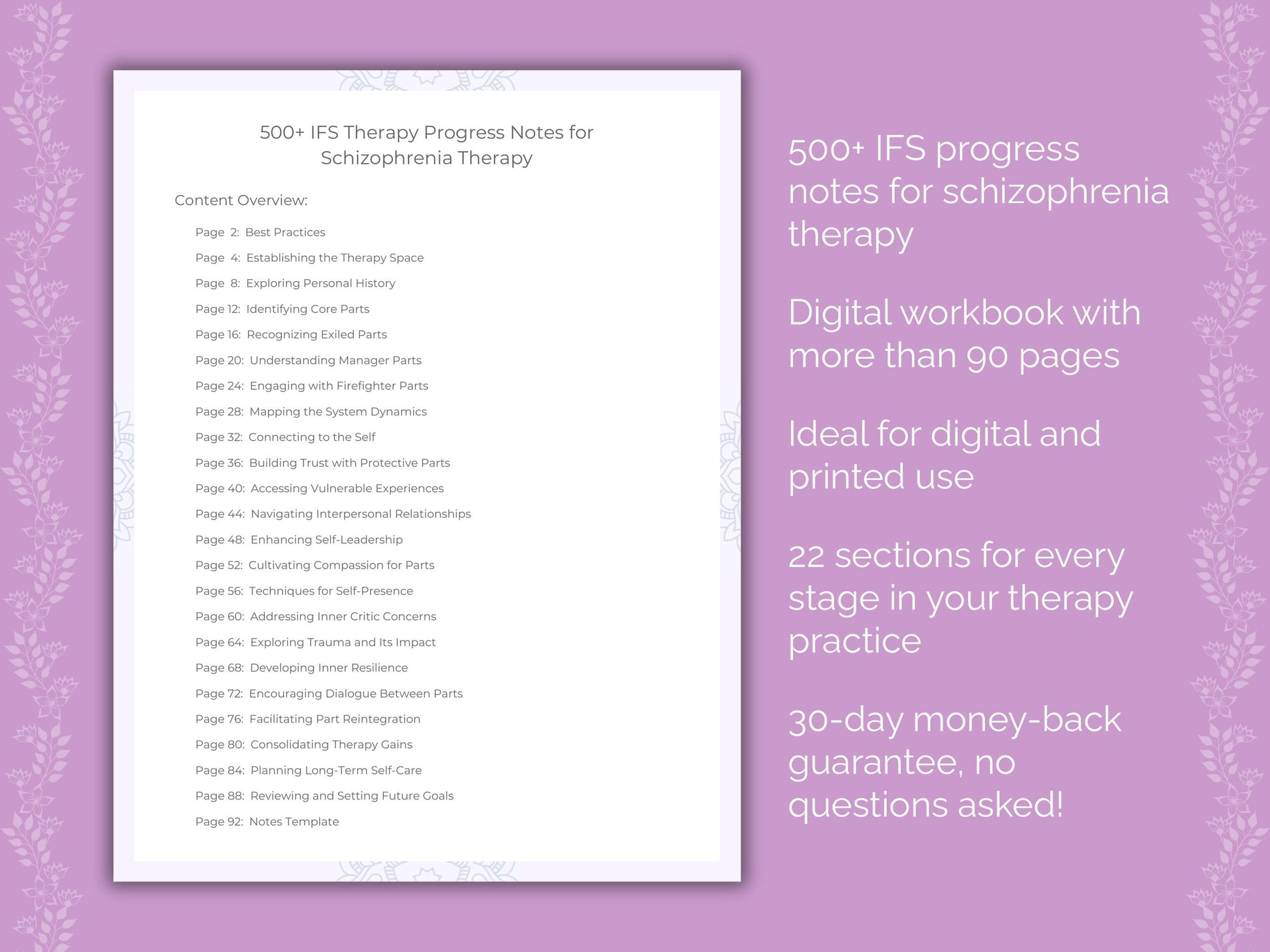 Schizophrenia Internal Family Systems (IFS) Therapist Worksheets