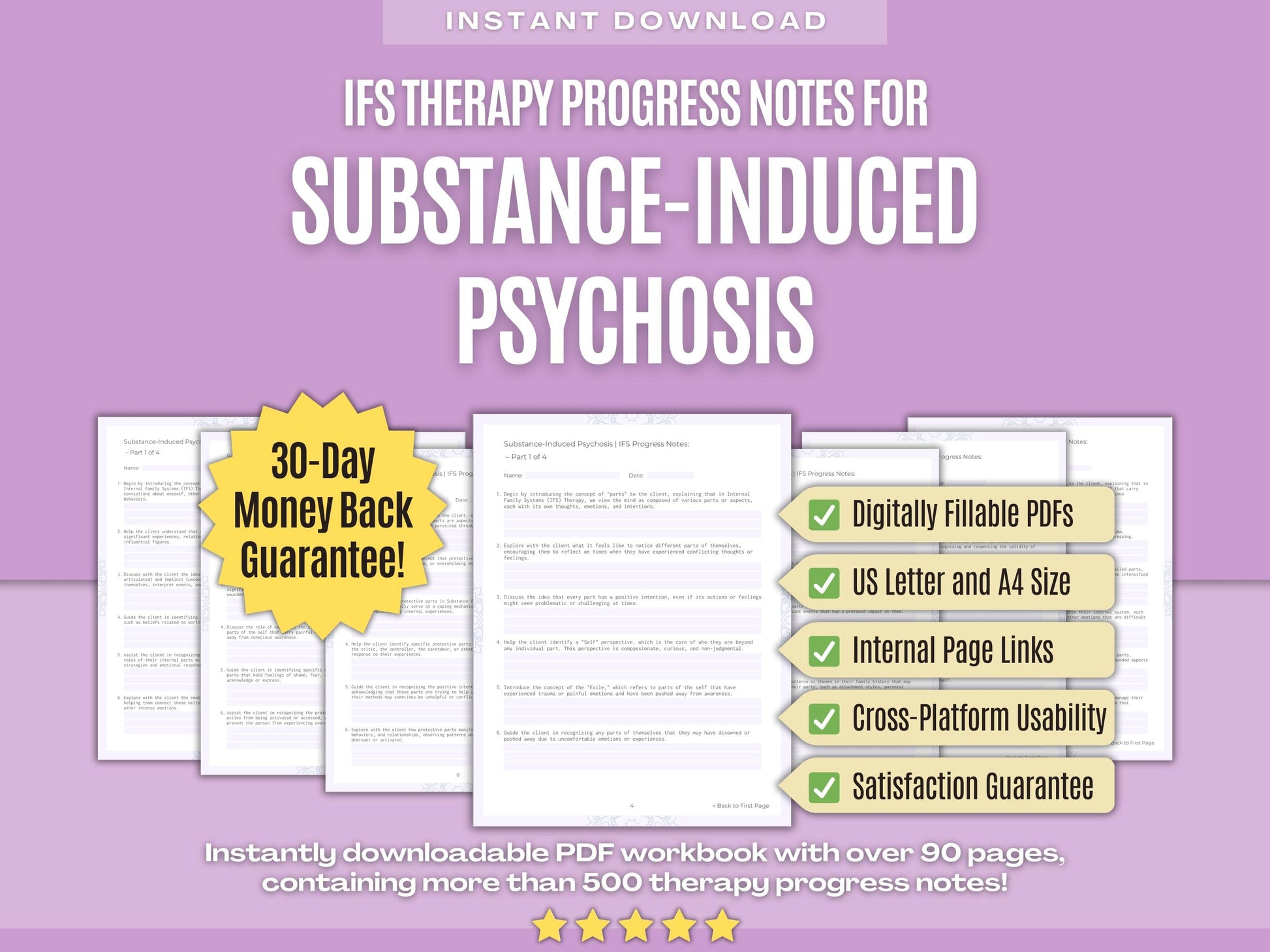 Substance-Induced Psychosis Internal Family Systems (IFS) Psychology Workbooks