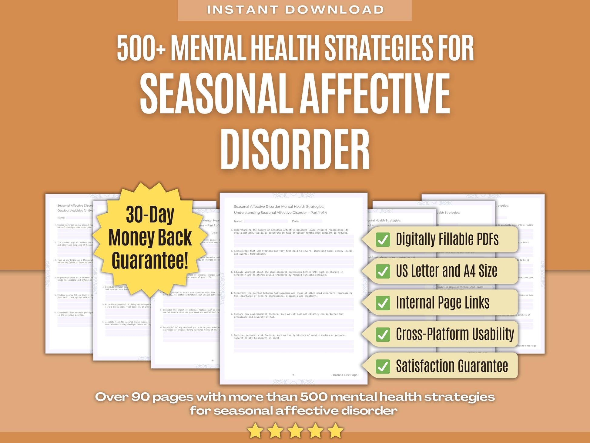 Seasonal Affective Disorder Mental Health Psychology Workbooks