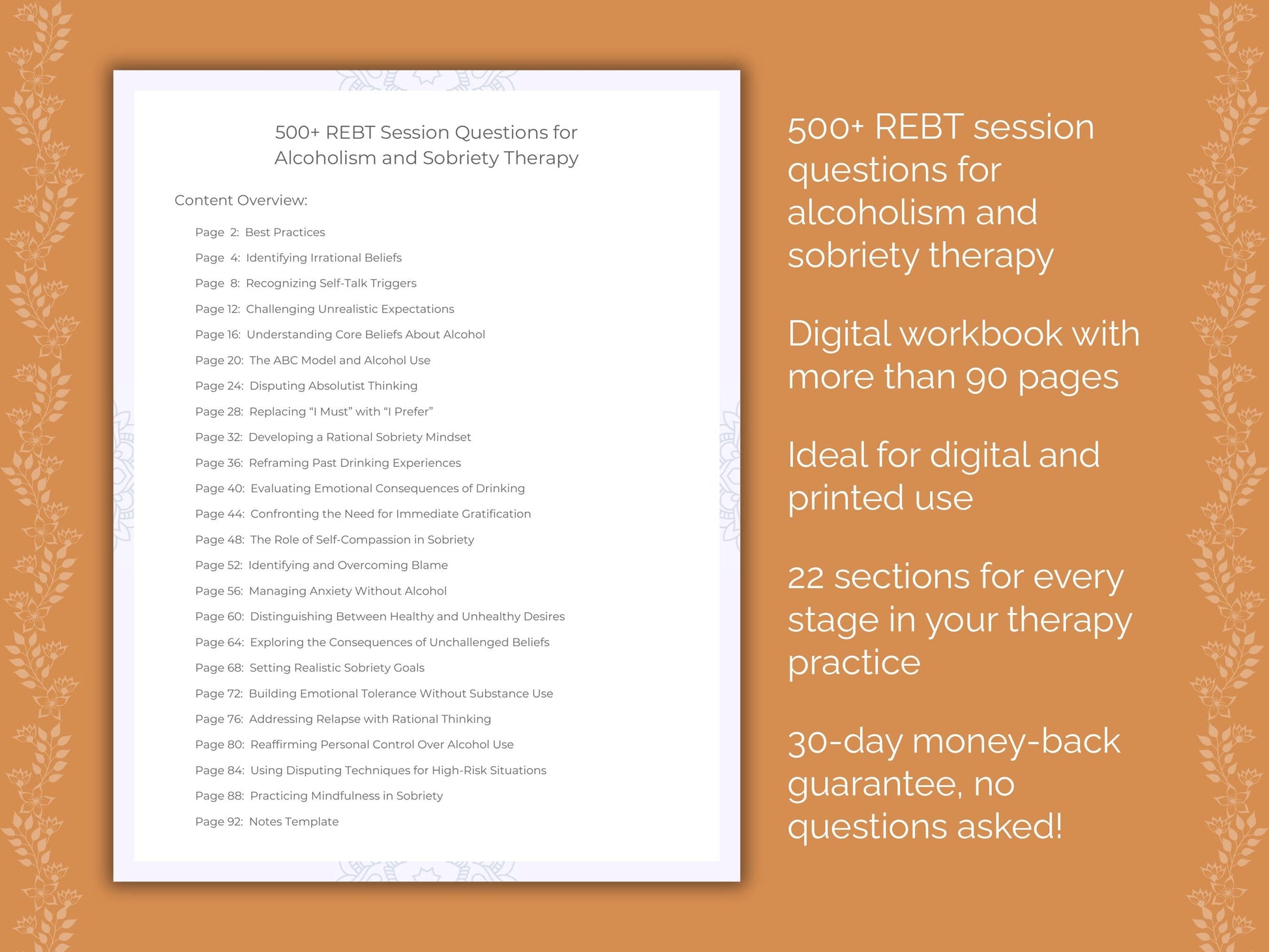 Alcoholism and Sobriety Rational Emotive Behavior Therapy (REBT) Therapist Worksheets