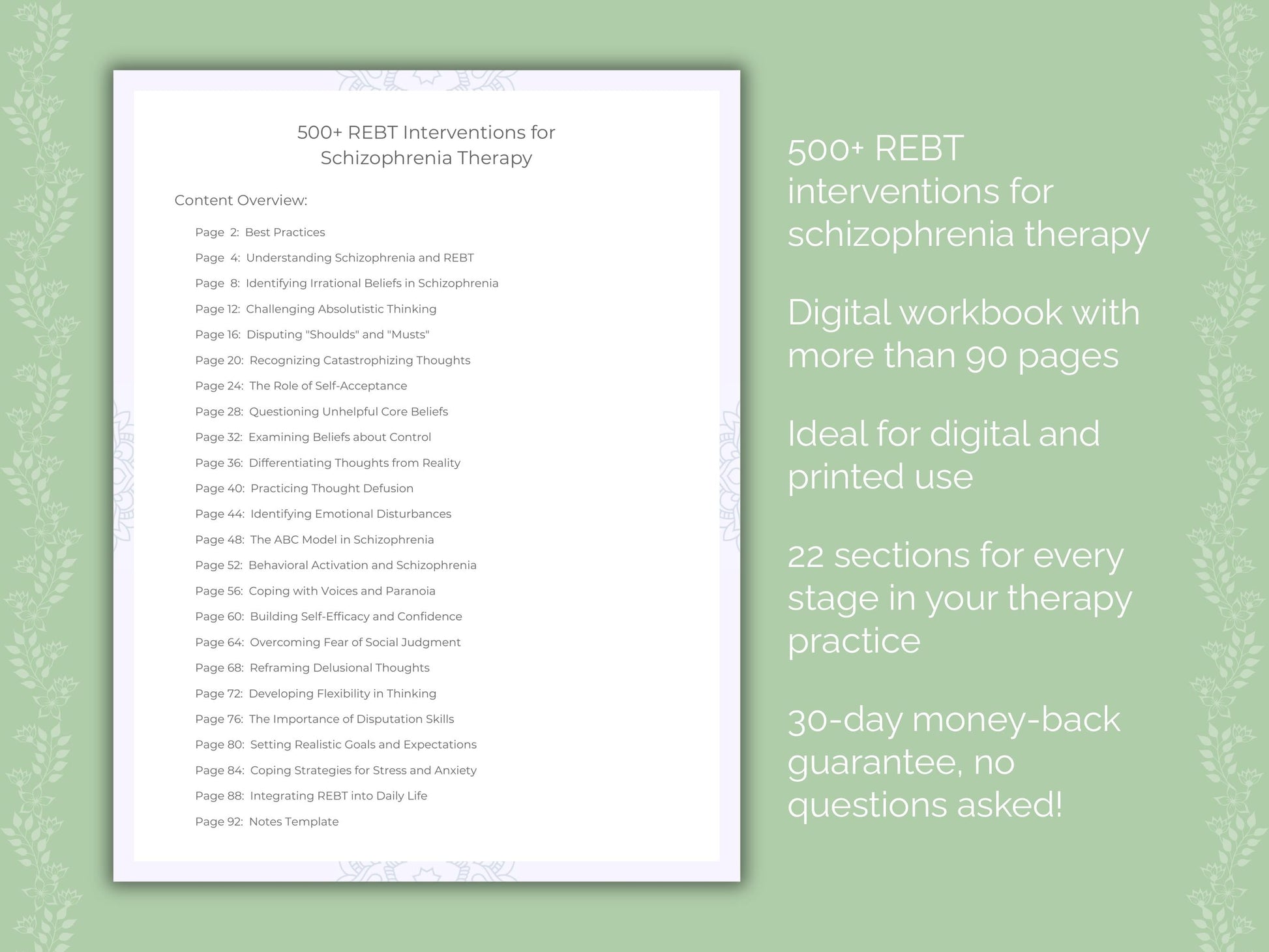 Schizophrenia Rational Emotive Behavior Therapy (REBT) Therapist Worksheets