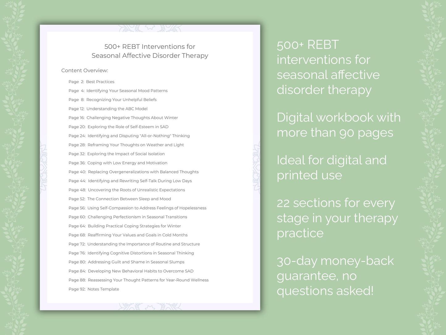 Seasonal Affective Disorder Rational Emotive Behavior Therapy (REBT) Therapist Worksheets