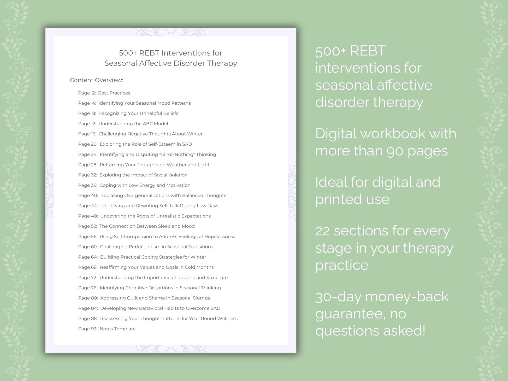 Seasonal Affective Disorder Rational Emotive Behavior Therapy (REBT) Therapist Worksheets