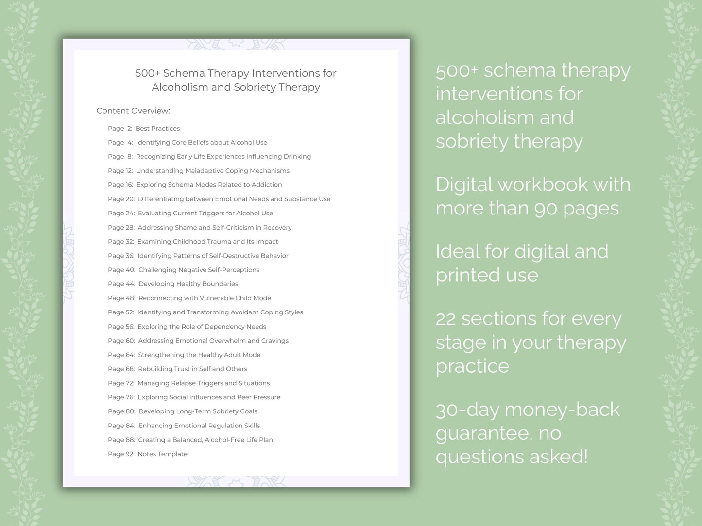 Alcoholism and Sobriety Schema Therapy Therapist Worksheets
