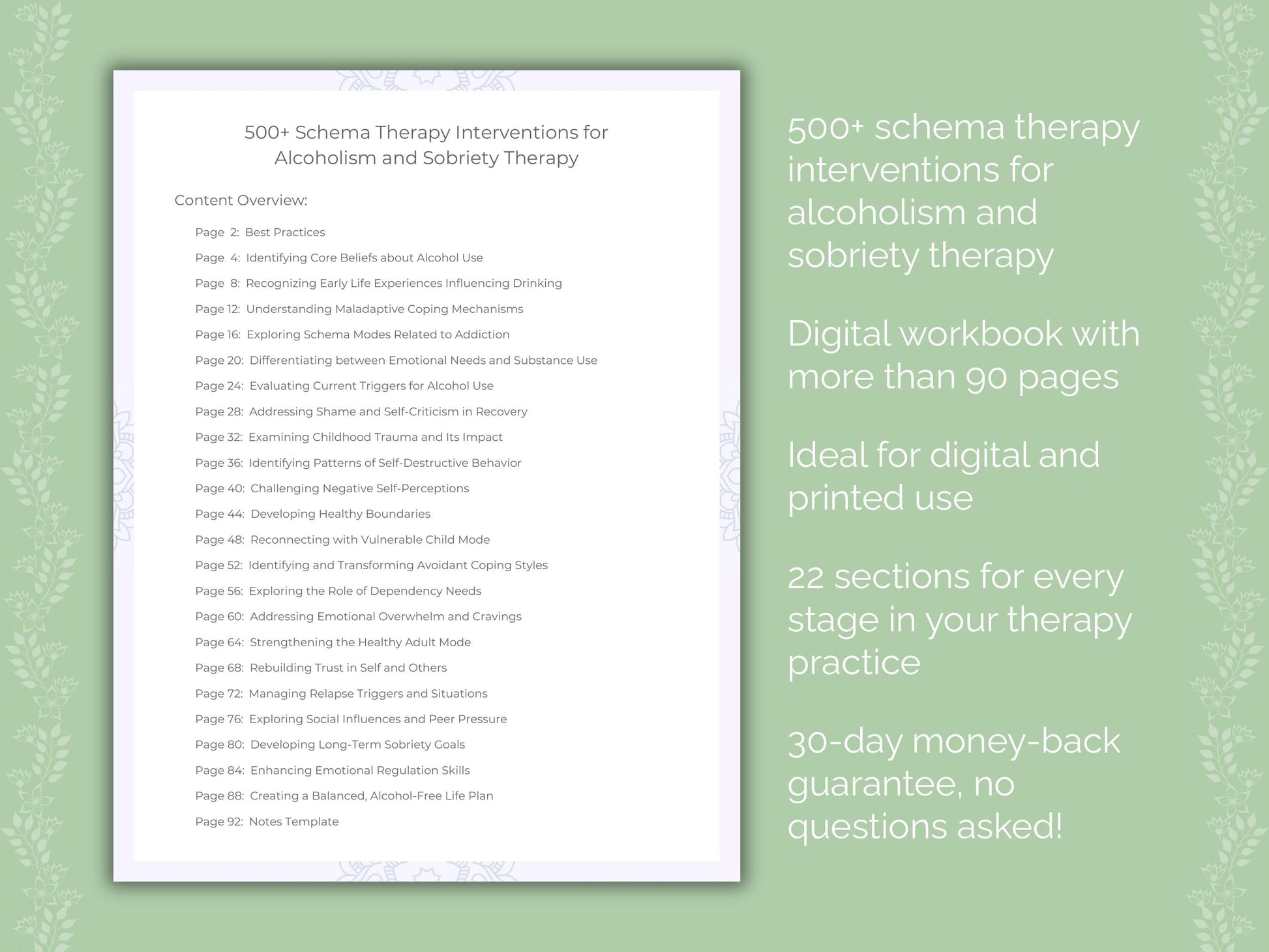 Alcoholism and Sobriety Schema Therapy Therapist Worksheets