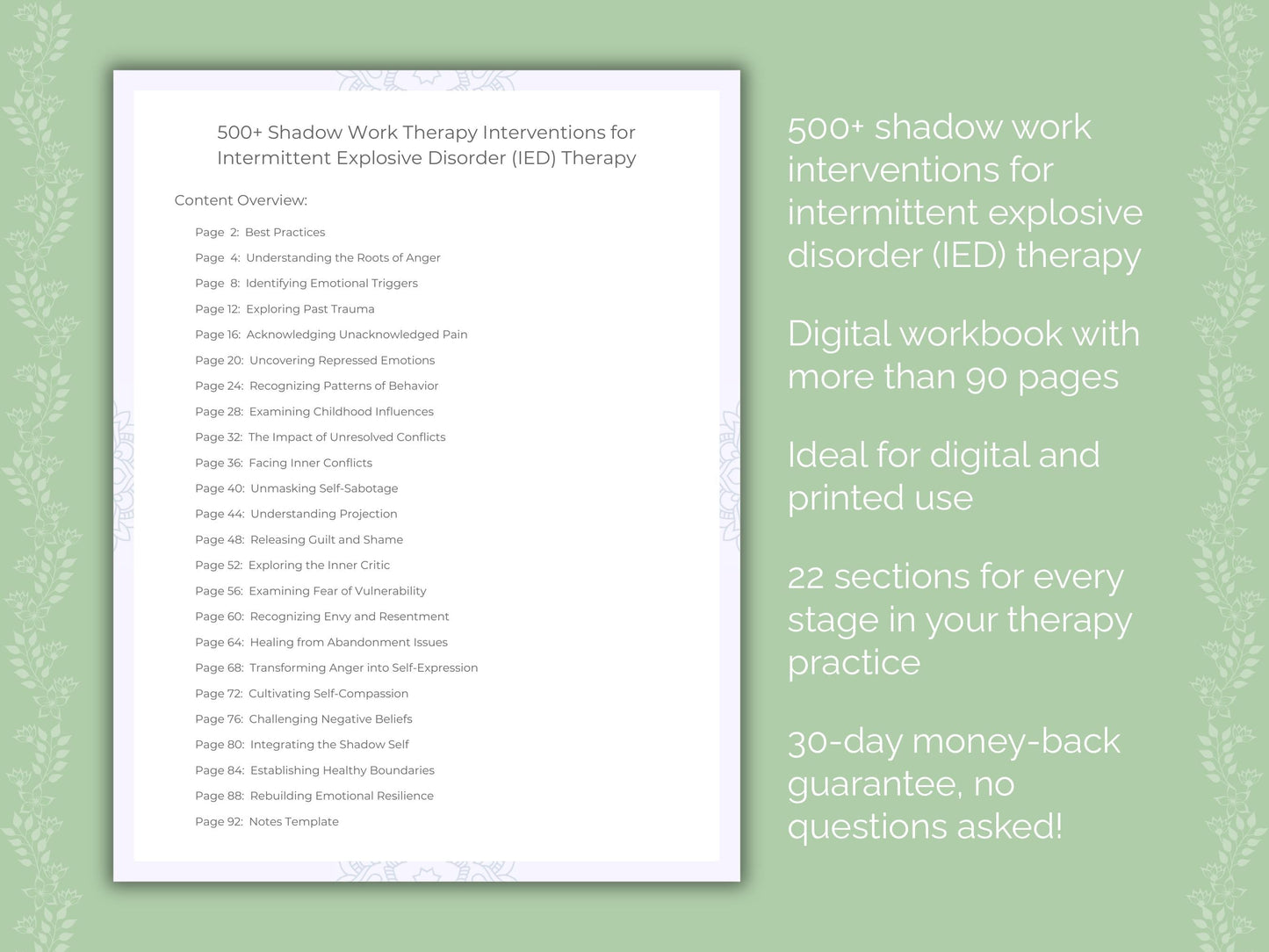 Intermittent Explosive Disorder (IED) Shadow Work Therapist Worksheets